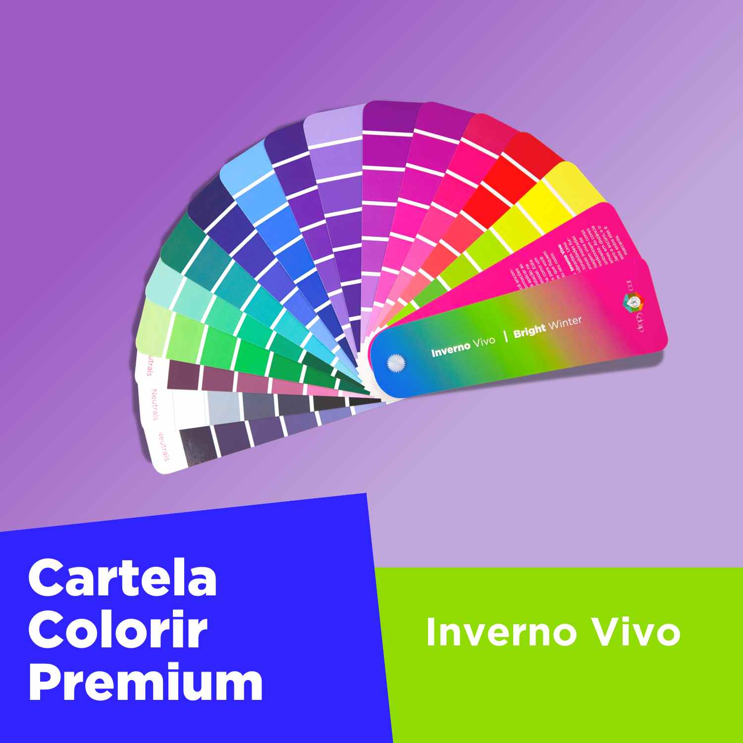 Cartela ColoRir Inverno Vivo