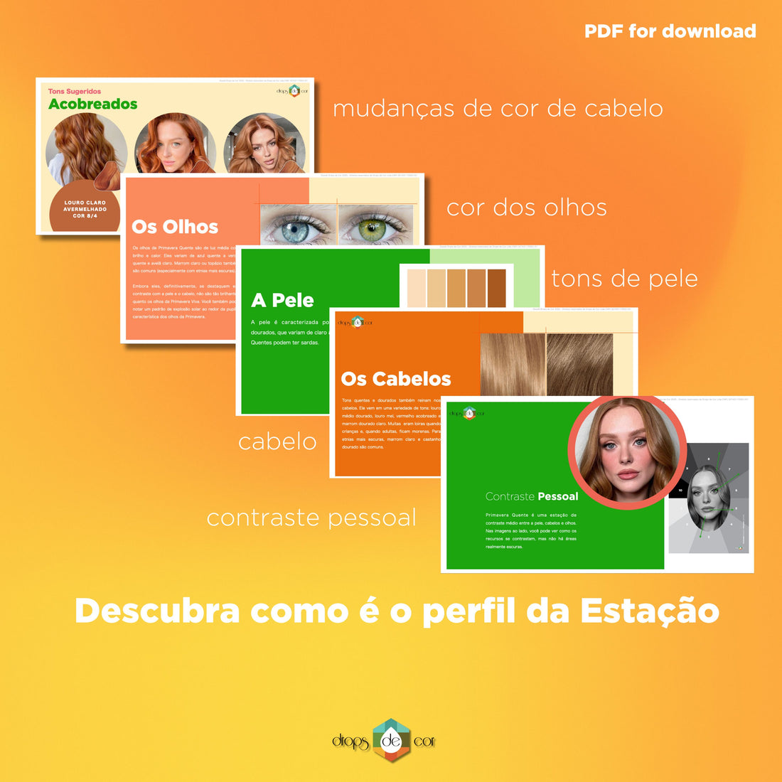 Digital Seasonal Dossier - Primavera Clara - 2024 Edition