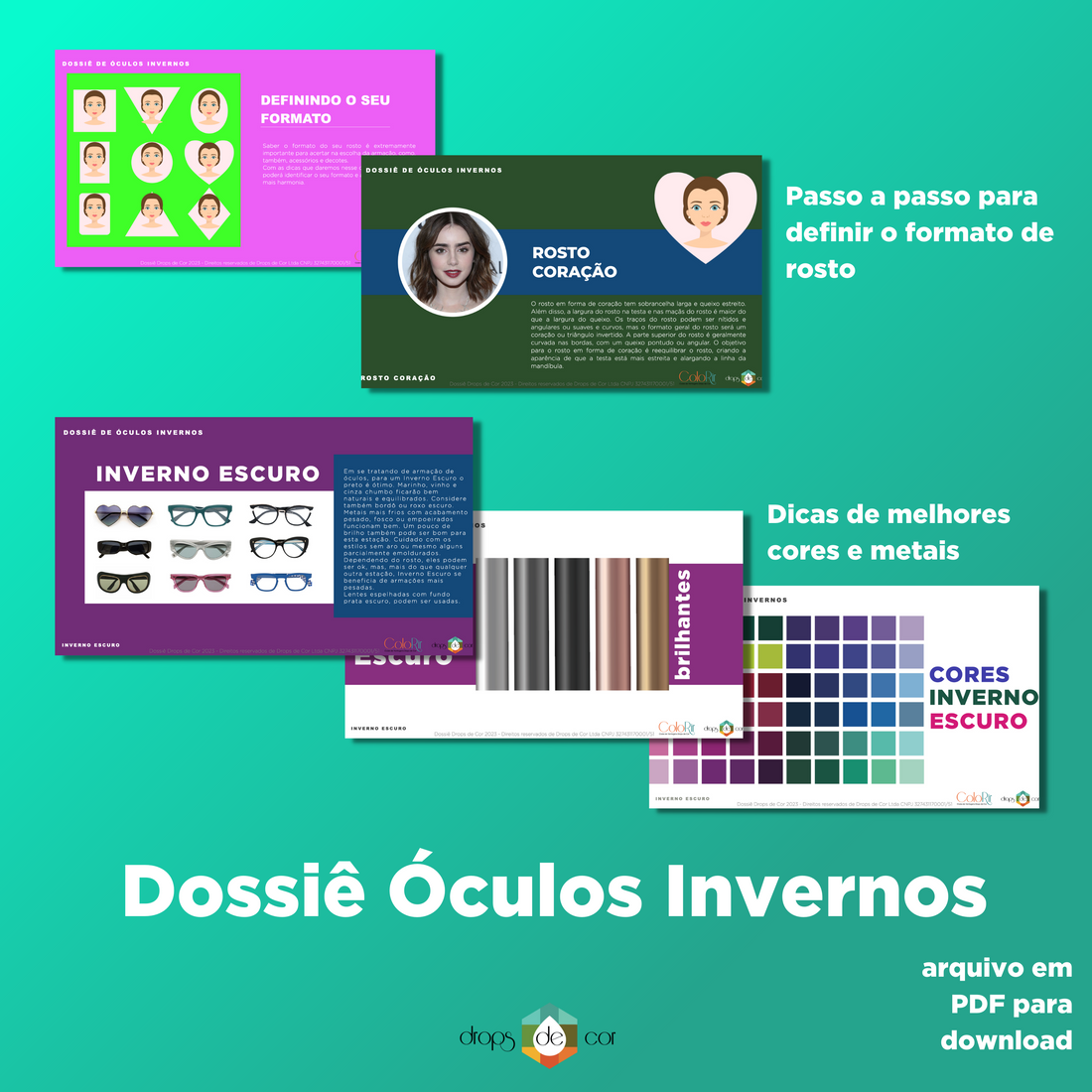 Dossier Digital Gafas de Invierno - Portugués