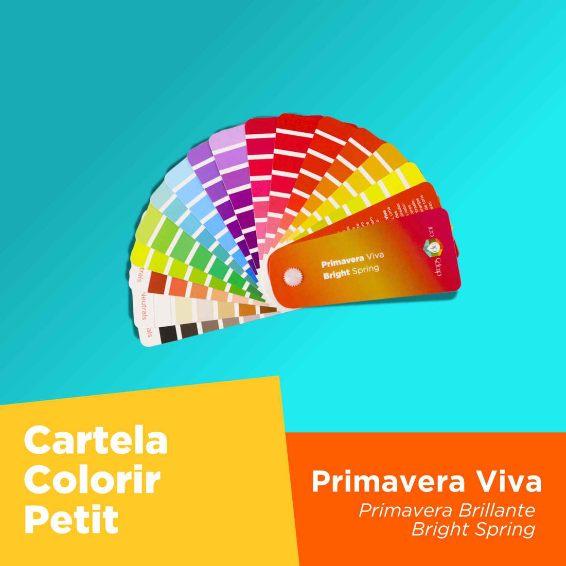 Cartela ColoRir Petit Primavera Viva