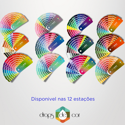 Nova Edição- Cartela Colorir Petit Primavera Clara
