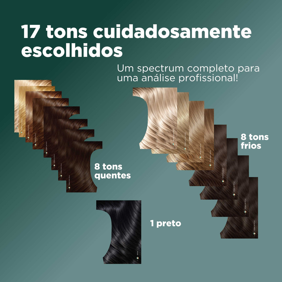 Cards de Tons de Cabelo Premium