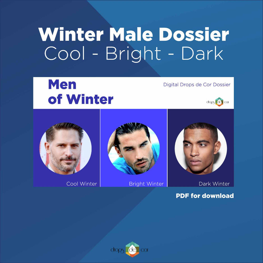 Men’s Style & Color Analysis Digital Guide – Drops de Cor