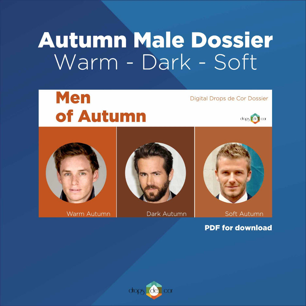Men’s Style & Color Analysis Digital Guide – Drops de Cor