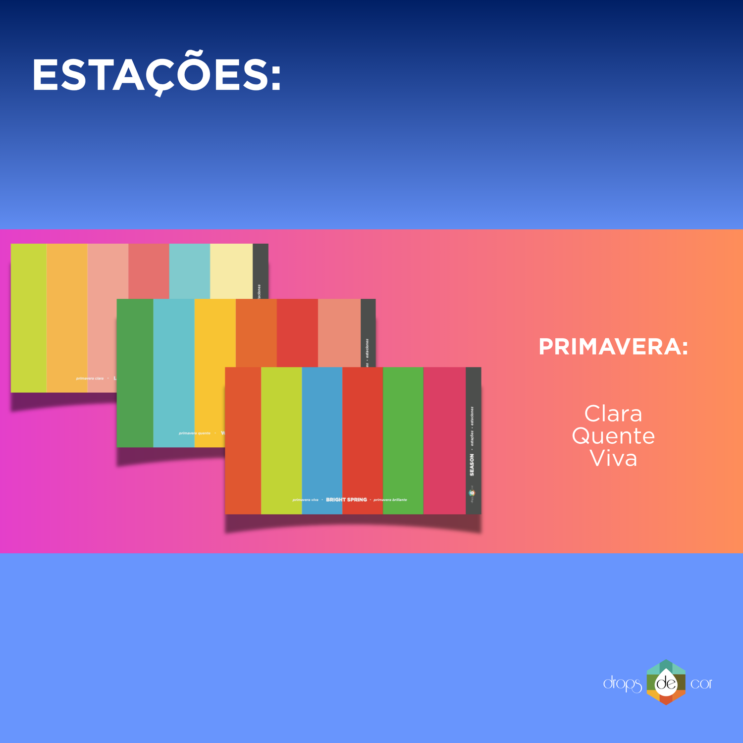 Nova Edição 2026 - Kit Drapes das 12 Estações - Melhores Cores